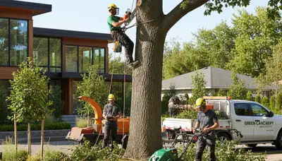 Professional landscaping and tree removal service in Aurora, IL by Chop Chop Tree experts