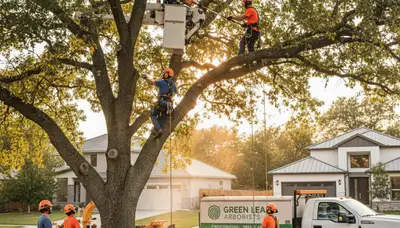 Arborist performing professional tree pruning in Aurora, IL for healthy residential trees