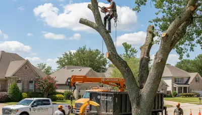 Professional tree removal service in Aurora, IL by Chop Chop Tree experts safely cutting large oak